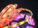 DC12V,IP68,5m WS2811 30leds/m led digital strips,with 30pcs WS2811 built-in the 5050 smd rgb led chip,White PCB