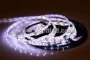 DC12V Cool White 5m 300leds Waterproof SMD 3528 Led Strip Light IP65 White PCB High Brightness;3528 60leds/m white color led strip