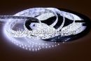 SMD 3528 Flexible LED Strip, 120LEDs/m, 5m/roll, DC12V input, Cool White Emitting Color, white PCB, Waterproof IP65