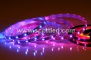 WS2801 32leds/m led digital strips 5m/roll,WS2801 IC(256 scale,8 bit),32pcs 5050 RGB leds/m,tube IP67,DC5V,White PCB